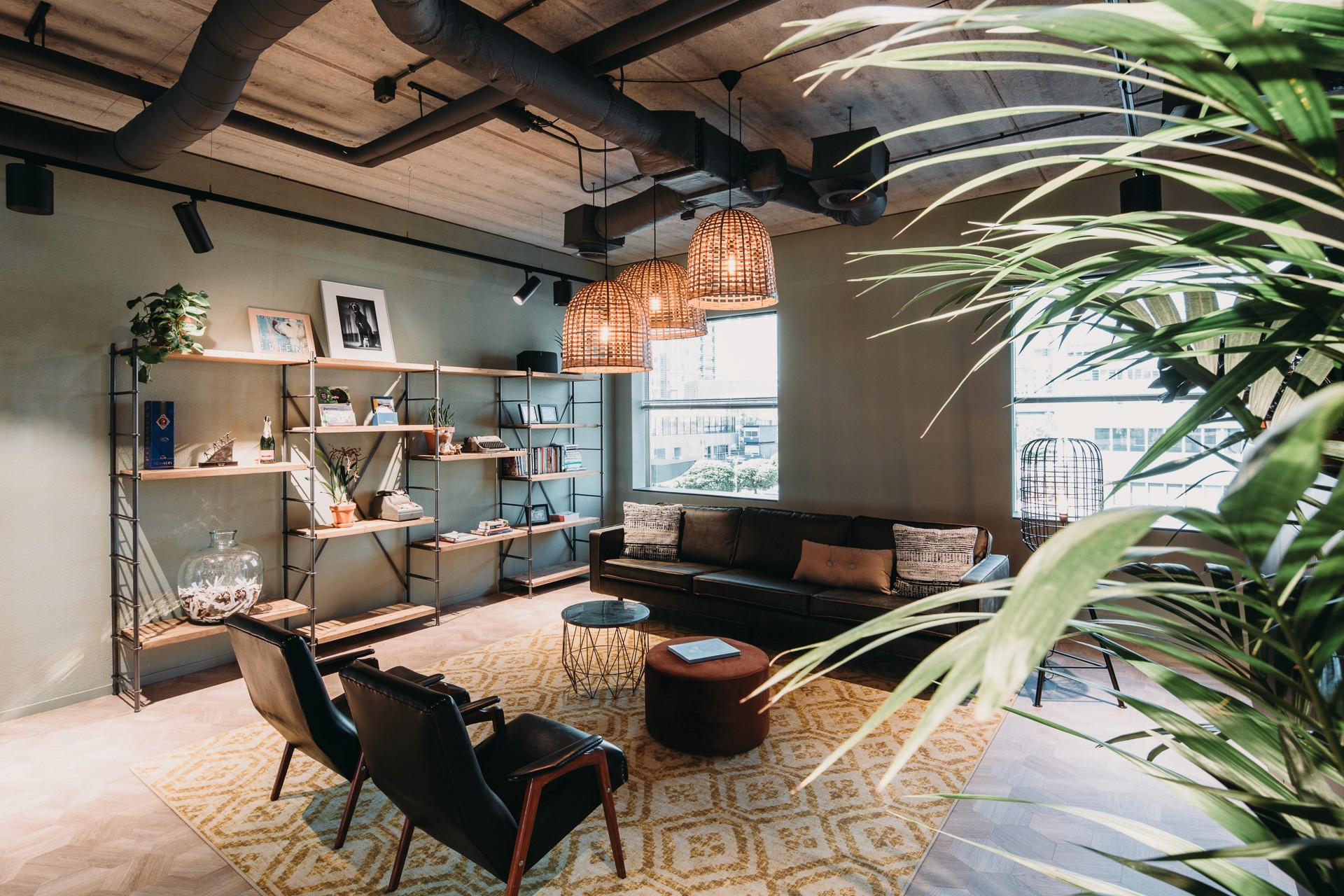 Figopet, Amsterdam