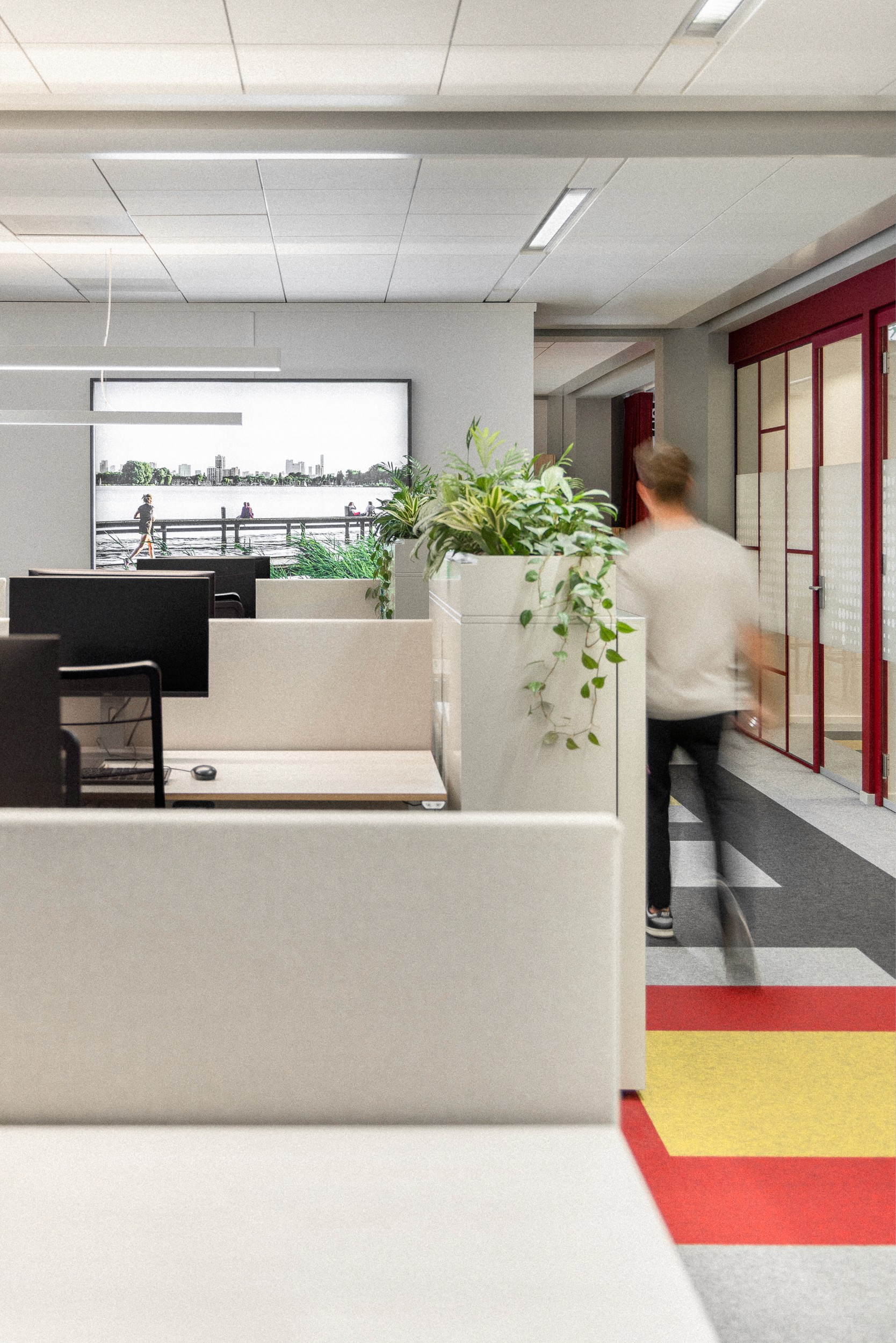 Rotterdam Partners, Rotterdam