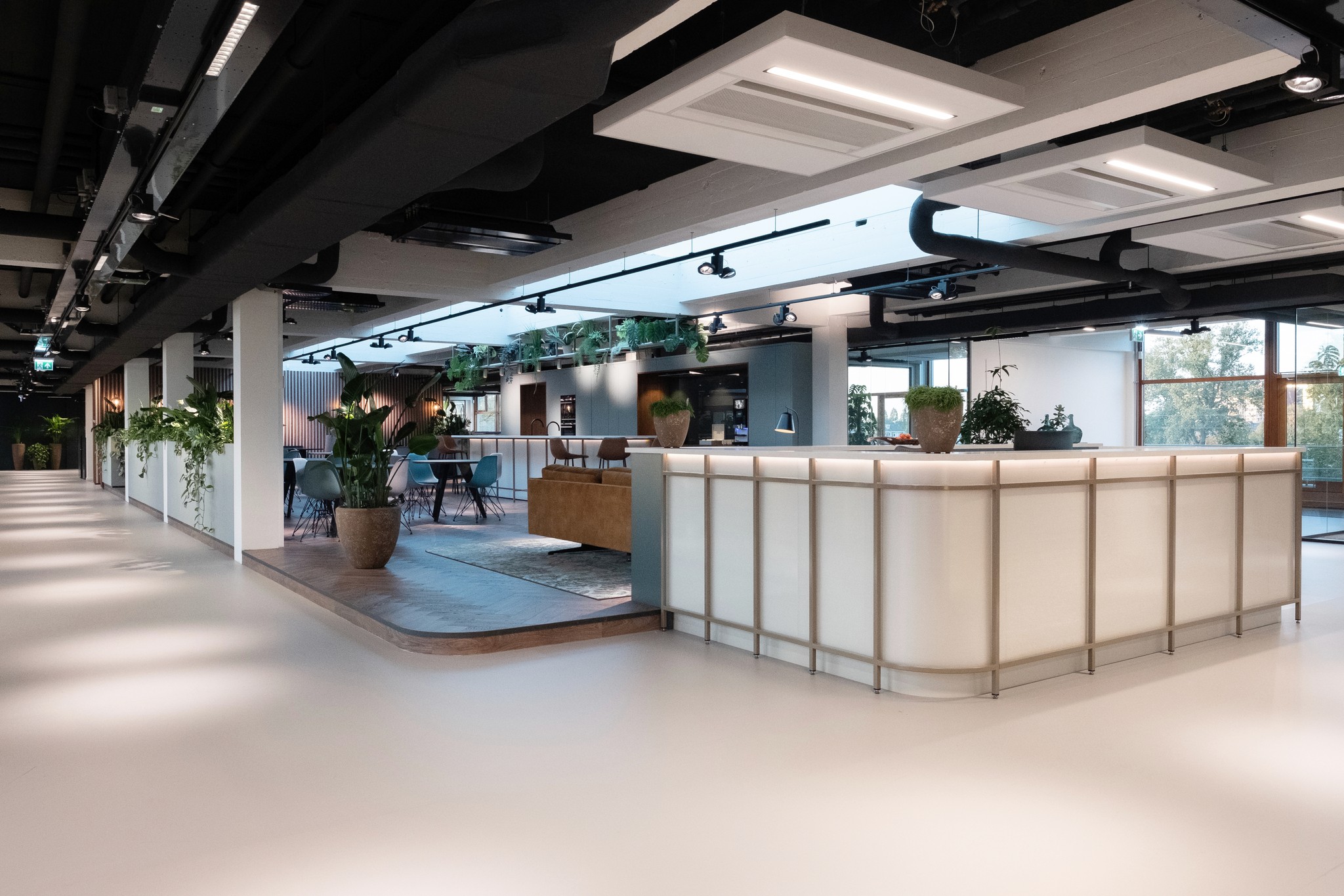 Fyffes, Rotterdam