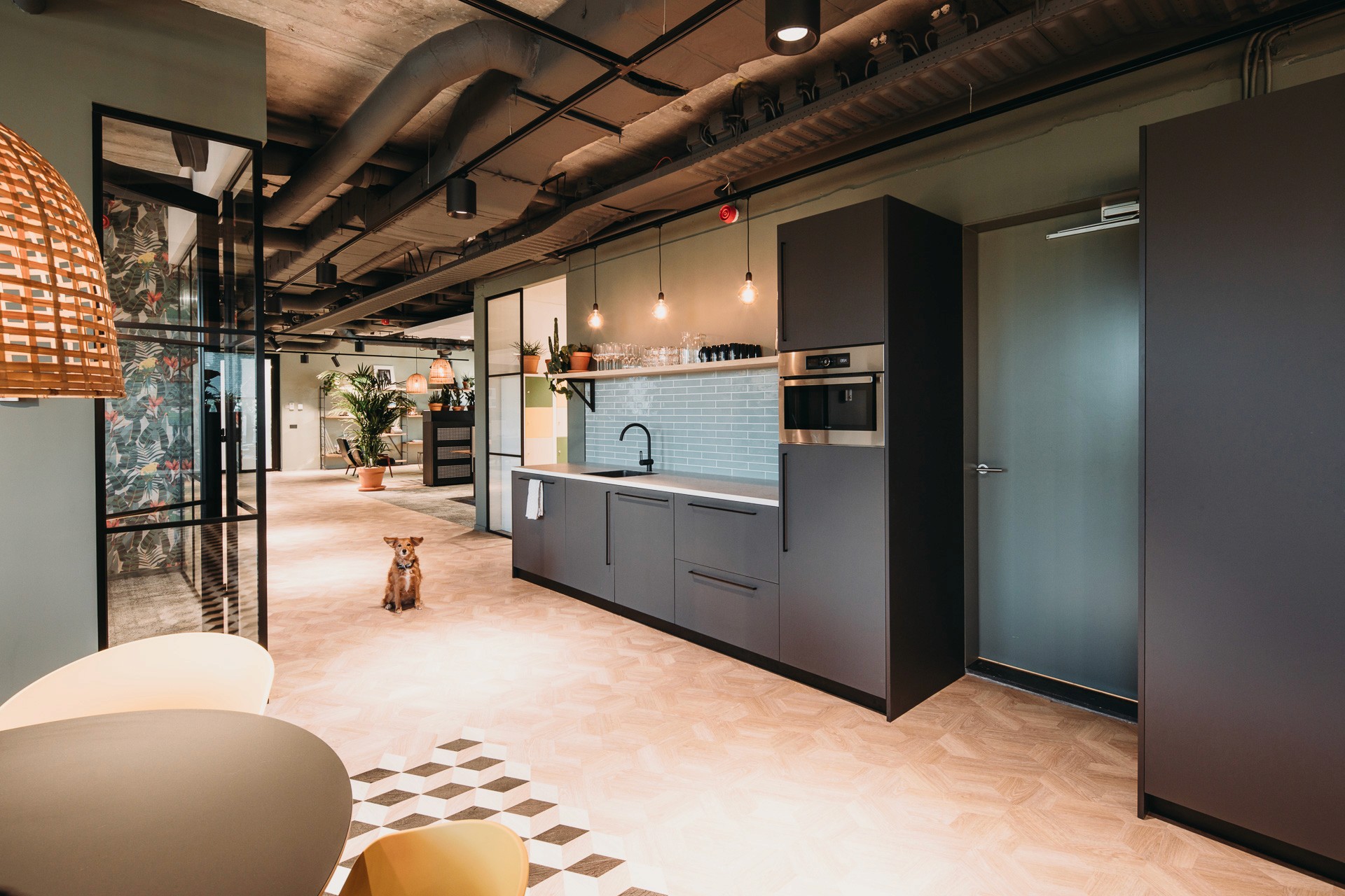 Figopet, Amsterdam