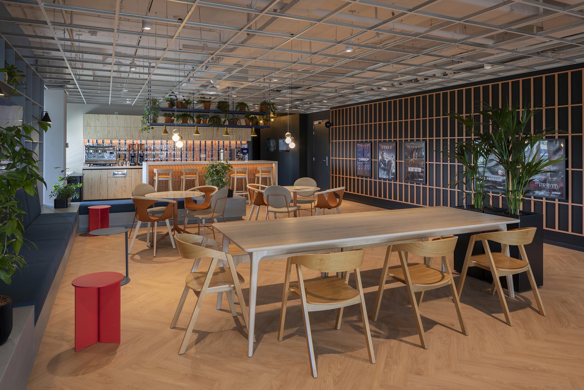 Canal +, Hilversum