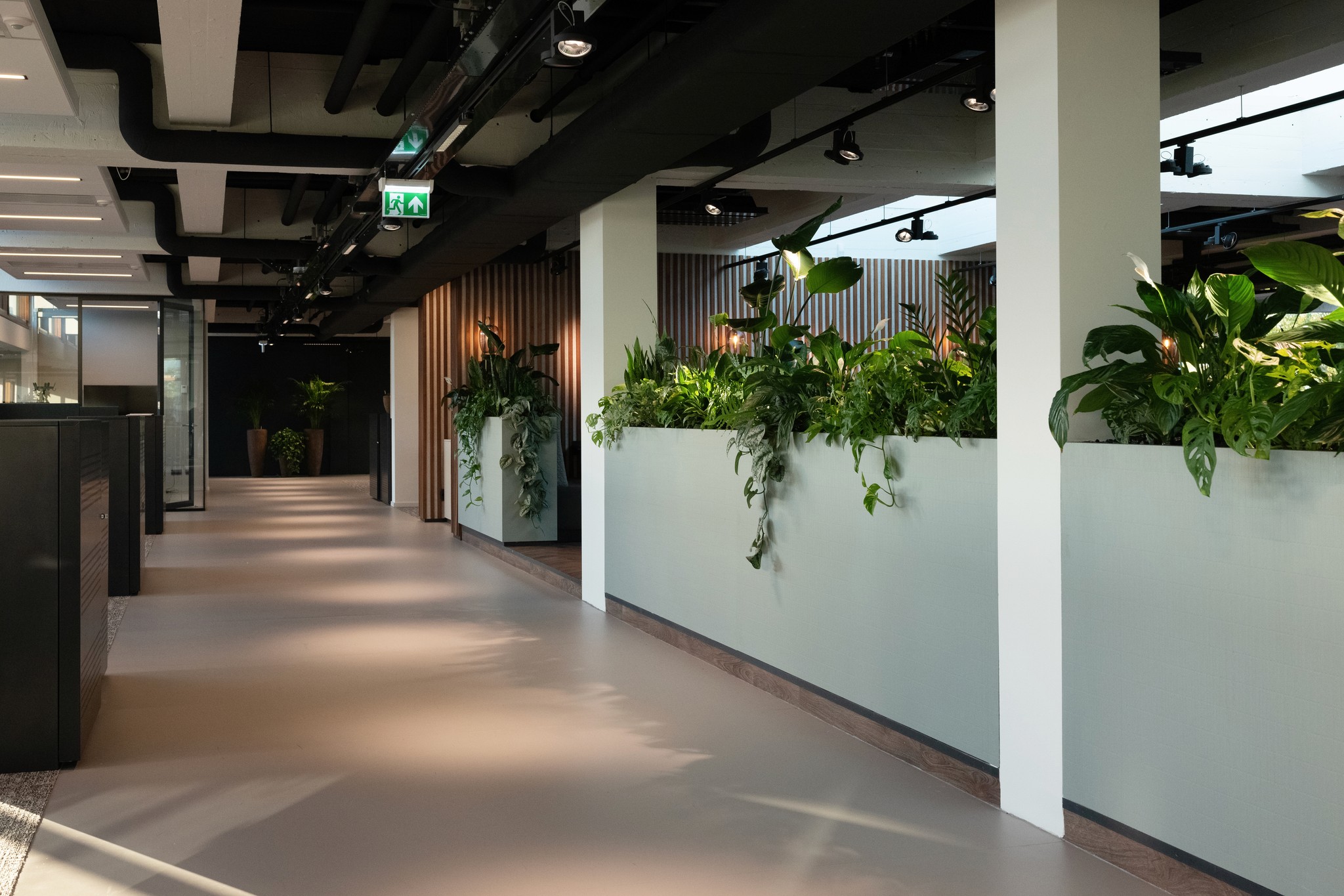 Fyffes, Rotterdam